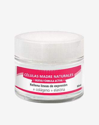 celulas madre